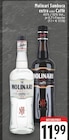 Sambuca Extra im Angebot bei E center in Witten Sambuca Extra Angebote von Molinari bei E center Witten für 11,99 €