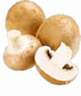 Champignon braun im Angebot bei Netto Marken-Discount in Saarbrücken Champignon braun Angebote bei Netto Marken-Discount Saarbrücken für 1,79 €