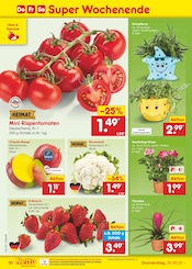 Erdbeeren im Netto Marken-Discount Prospekt in Lahr Aktueller Netto Marken-Discount Prospekt mit Erdbeeren, "Aktuelle Angebote", Seite 44