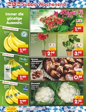 Aktueller Netto Marken-Discount Prospekt mit Blumen, "Aktuelle Angebote", Seite 47