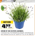 Angebot im OBI Lawitz Prospekt OBI Lawitz Prospekt mit im Angebot für 4,99 €