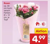 Rosen Angebote bei Netto Marken-Discount Coesfeld für 4,99 €
