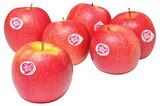 REWE Ettlingen - Rote Tafeläpfel Angebot im Prospekt Rote Tafeläpfel bei REWE im Ettlingen Prospekt für