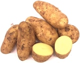 Speisekartoffeln roterdig Angebote bei REWE Hamm für 1,59 €