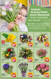 Gartenerde im REWE Prospekt in Ettlingen Aktueller REWE Prospekt mit Gartenerde, "Dein Markt", Seite 21