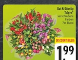 Tulpen Angebote von Gut & Günstig bei EDEKA Bayreuth für 1,99 €
