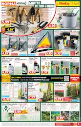 Gartenmöbel im Norma Prospekt Mehr fürs Geld auf S. 3