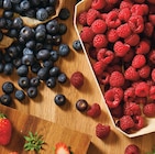Intermarché Super Saint-Lys - Promo Framboise Promo Framboise à 3,18 € dans le catalogue Intermarché Super à Saint-Lys