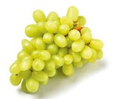 Trauben kernlos Angebote bei Netto mit dem Scottie Potsdam für 1,99 €