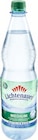 Mineralwasser Angebote von Lichtenauer bei Netto Marken-Discount Chemnitz für 4,49 €