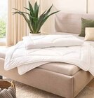 Aktuelles Ganzjahresdecke Angebot bei Segmüller in Augsburg ab 24,99 €