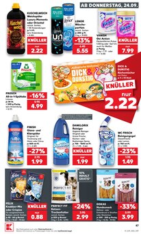Katzenfutter im Kaufland Prospekt "Hier bin ich richtig" mit 72 Seiten (Dresden)