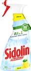 Reiniger von Sidolin im aktuellen Kaufland Prospekt