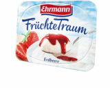 Früchte-, Vanille- oder Grießtraum Angebote von Ehrmann bei Netto Marken-Discount Aschaffenburg für 0,44 €