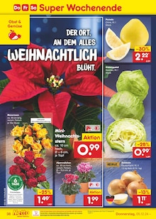 Blumen im Netto Marken-Discount Prospekt "Aktuelle Angebote" mit 63 Seiten (Krefeld)