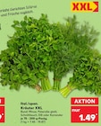 Minze im Kaufland Prospekt Minze von im aktuellen Kaufland Prospekt für 1,49 €