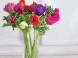 Promo Bouquet 10 Anemones à 4,79 € dans le catalogue U Express à Lyon