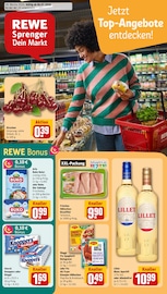REWE Discounter Prospekt der aktuellen Woche mit 16 Seiten, gültig von 06.07.2026 bis 11.07.2026, in Düsseldorf und Umgebung Aktueller REWE Discounter Prospekt in Düsseldorf und Umgebung, "Dein Markt" mit 16 Seiten, 06.07.2026 - 11.07.2026