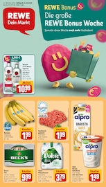 REWE Discounter Prospekt der aktuellen Woche mit 32 Seiten, gültig von 13.10.2025 bis 18.10.2025, in Nürnberg und Umgebung Aktueller REWE Discounter Prospekt in Nürnberg und Umgebung, "Dein Markt" mit 32 Seiten, 13.10.2025 - 18.10.2025
