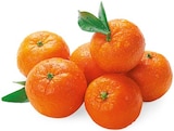 Aktuelles Mandarinen Angebot bei REWE in Mannheim ab 2,99 €