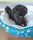 Hundebett von Pawstory für 9,99 € bei Zimmermann im Angebot Hundebett von Pawstory im aktuellen Zimmermann Prospekt