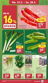 Aktueller ALDI Nord Prospekt mit Tulpen, "Aktuelle Angebote", Seite 7
