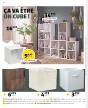 Palmier en promo dans le catalogue Gifi à la page 24