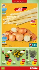 Aktueller Penny Prospekt mit Fertiggerichte, "Wer günstig will, muss Penny.", Seite 7