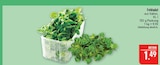 Aktuelle Salat Angebote bei Marktkauf in Nürnberg Aktuelles Feldsalat Angebot bei Marktkauf in Nürnberg ab 1,49 €