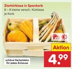 Aktuelle Gartenmöbel Angebote bei Netto Marken-Discount in Magdeburg Aktuelles Zierkürbisse in Spankorb Angebot bei Netto Marken-Discount in Magdeburg ab 4,99 €