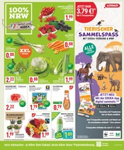Aktueller Marktkauf Prospekt mit Pflanzen, "Aktuelle Angebote", Seite 3