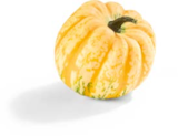 Zierkürbis im Angebot bei Netto Marken-Discount in St. Ingbert Zierkürbis Angebote bei Netto Marken-Discount St. Ingbert für 1,69 €