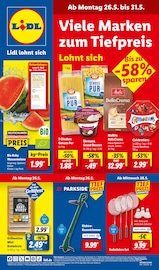 Aktueller Lidl Discounter Prospekt in Linthe und Umgebung, "LIDL LOHNT SICH" mit 69 Seiten, 26.05.2025 - 31.05.2025