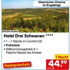 Aktuelles Hotel Drei Schwanen **** Angebot bei Netto Marken-Discount in Bielefeld ab 44,99 €