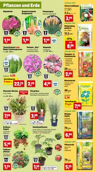 Blumenerde im Thomas Philipps Prospekt "Top Angebote" mit 16 Seiten (Essen)