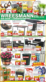 Geranien im Wreesmann Prospekt "DEIN SAISON- & SONDERPOSTENMARKT!" mit 16 Seiten (Dresden)