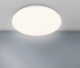 Sensor-Deckenleuchte im Angebot bei toom Baumarkt in Halle Sensor-Deckenleuchte Angebote von Briloner bei toom Baumarkt Halle für 14,99 €