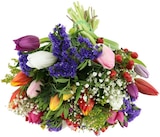 Strauß Tulpenfestival Angebote bei REWE Gütersloh für 6,99 €