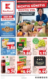 Kaufland Prospekt für Gelenau: "Aktuelle Angebote", 52 Seiten, 11.04.2024 - 17.04.2024