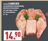 Frische Kaninchen im aktuellen Marktkauf Prospekt
