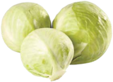Kohl im V-Markt Prospekt Weißkraut im aktuellen V-Markt Prospekt für 0,79 €
