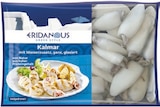 Kalmar von Eridanous im aktuellen Lidl Prospekt für 6,99 €