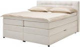 Boxspringbett FANO im Angebot bei mömax in Bad Oeynhausen Boxspringbett FANO Angebote bei mömax Bad Oeynhausen für 999,00 €