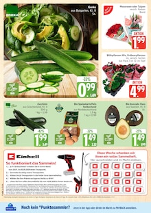 Marktkauf Prospekt der aktuellen Woche, gĂĽltig von 23.03.2026 bis 28.03.2026 Aktueller Marktkauf Prospekt "Top Angebote" mit 40 Seiten