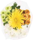 Deko Blumen im V-Markt Prospekt Chrysanthemenstrauß im aktuellen V-Markt Prospekt für 4,99 €