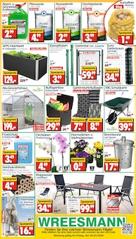 Kartoffeln im Wreesmann Prospekt "DEIN SAISON- & SONDERPOSTENMARKT!" mit 12 Seiten (Dresden)