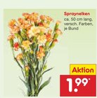 Spraynelken Angebote bei Netto Marken-Discount Lutherstadt Wittenberg für 1,99 €