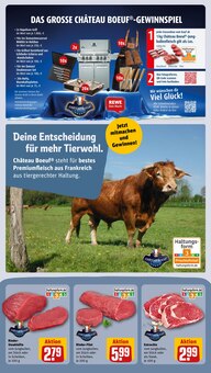 Rinderfilet im REWE Prospekt "Dein Markt" mit 28 Seiten (Köln)