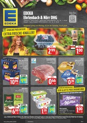 EDEKA Faulbach Prospekt der aktuellen Woche, gültig von 05.01.2026 bis 10.01.2026 Aktueller EDEKA Faulbach Prospekt "Wir lieben Lebensmittel!" mit 28 Seiten