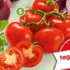 Bio Rispentomaten Angebote bei Netto Marken-Discount Freital